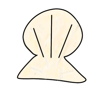 はじめてホタテ貝のイラストを描きました