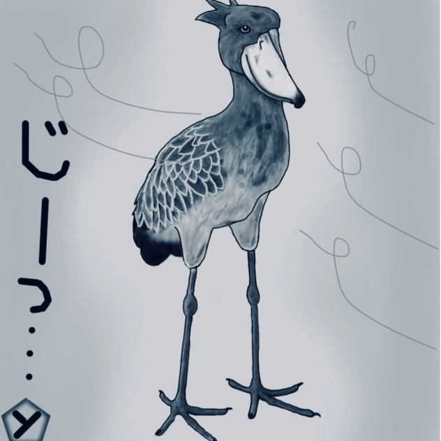 ハシビロコウ
