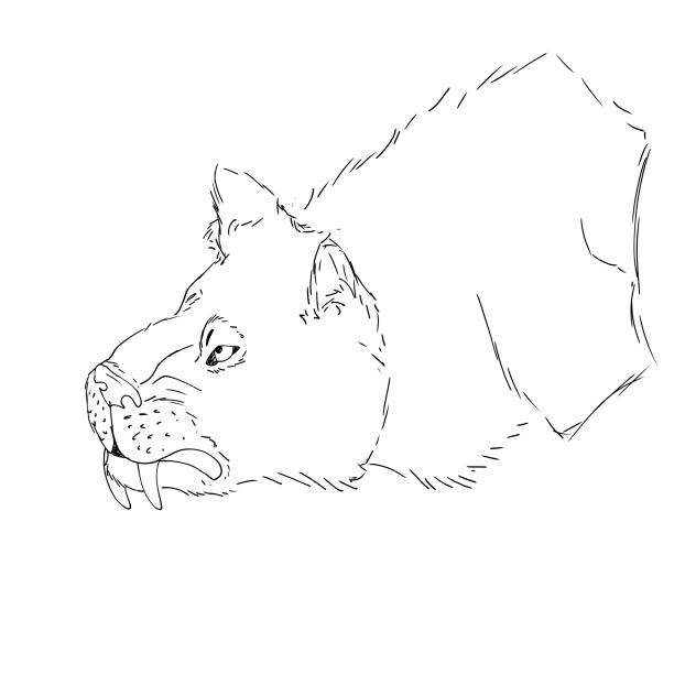 WIP