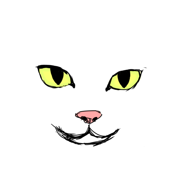 猫？