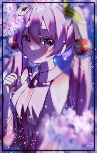 夜桜っていいよね