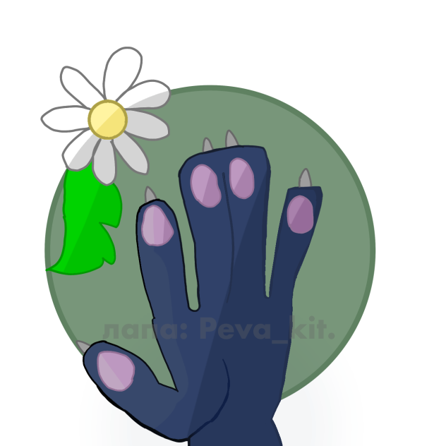 лапа Peva_kit