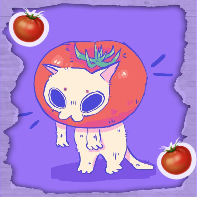 tomato cat🍅😺