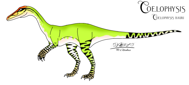 Coelophysis bauri