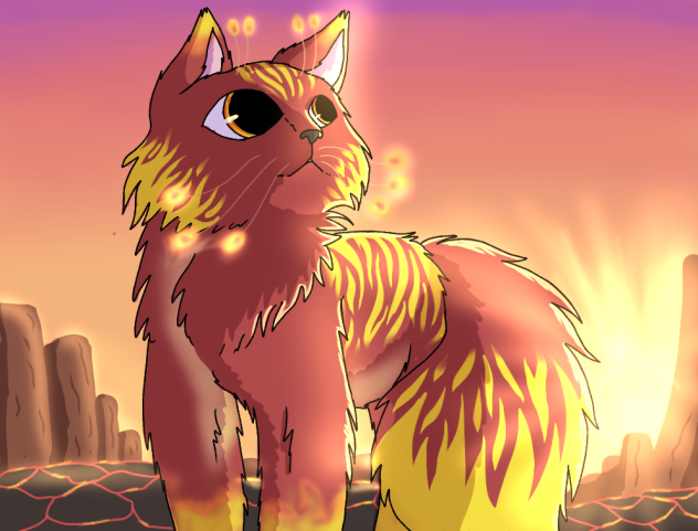 Fire Cat!🙀🙀🔥🔥