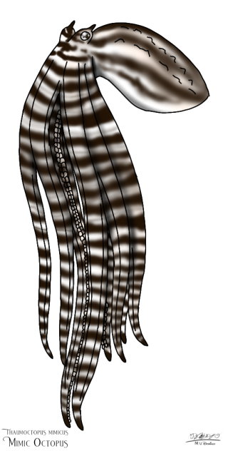 Mimic Octopus