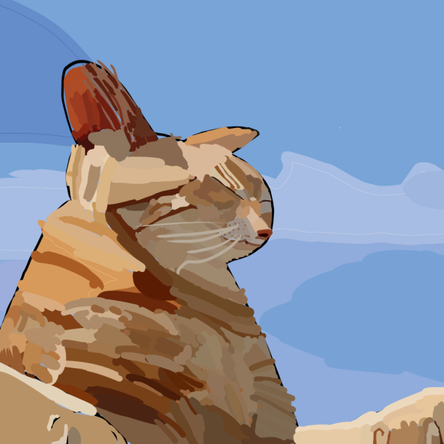 猫