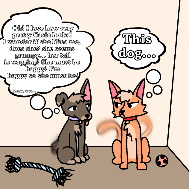 kitty and doggy