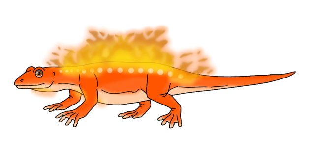 Orange Flamenewt glows2
