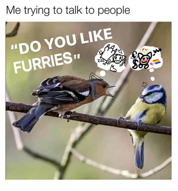 Me fr