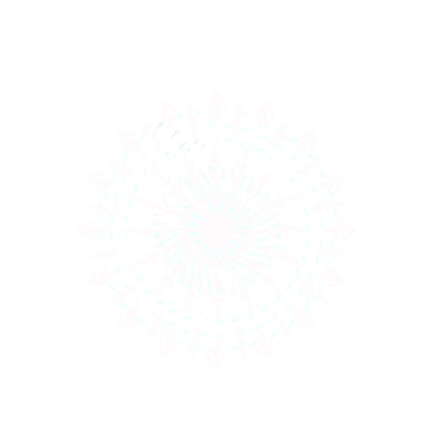 circle snowflake - ibisPaint
