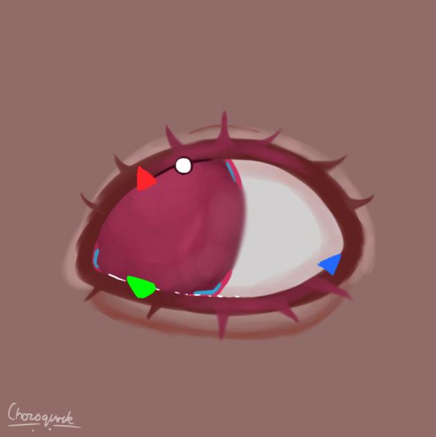Eye