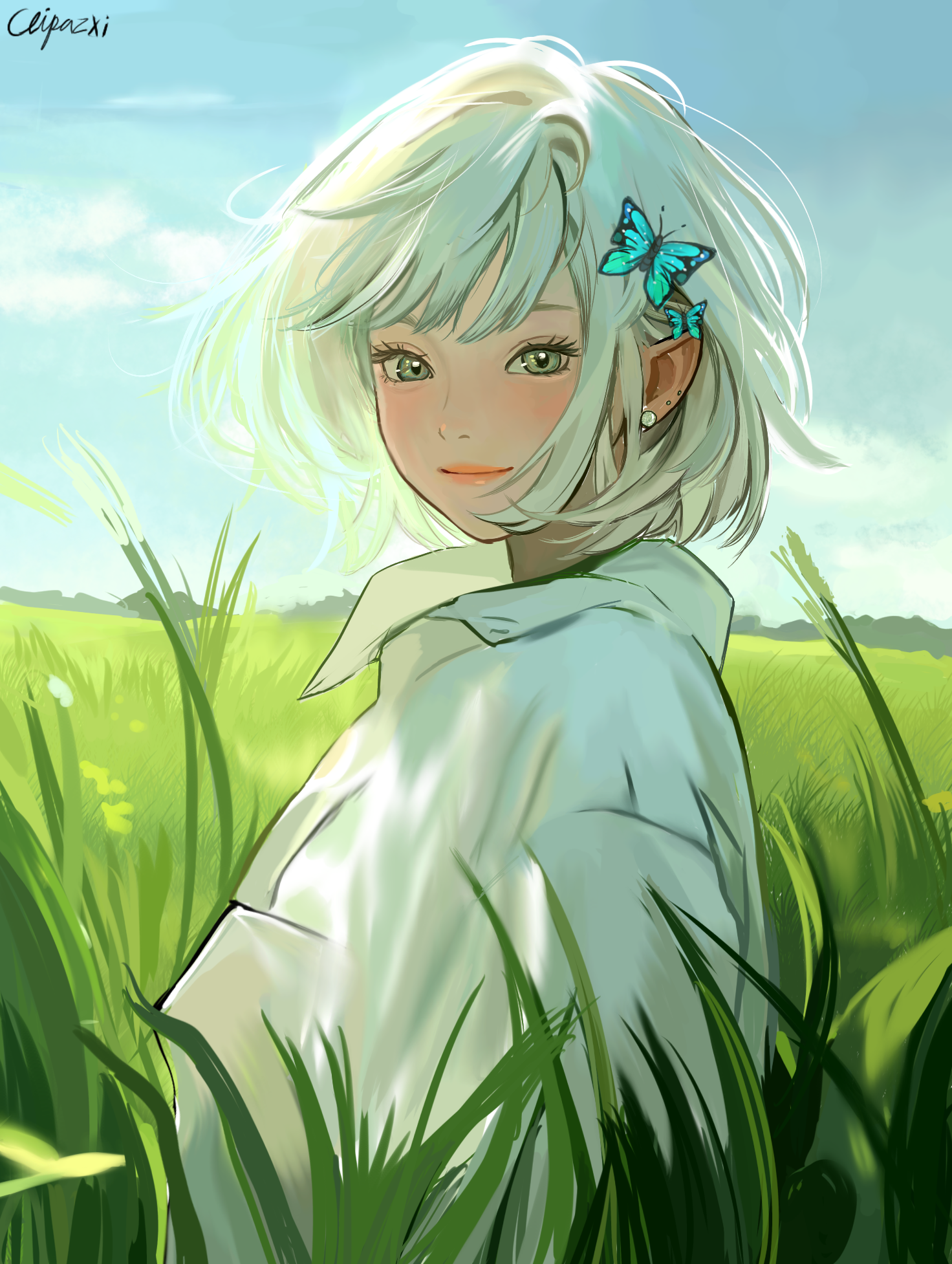 fields - ibisPaint