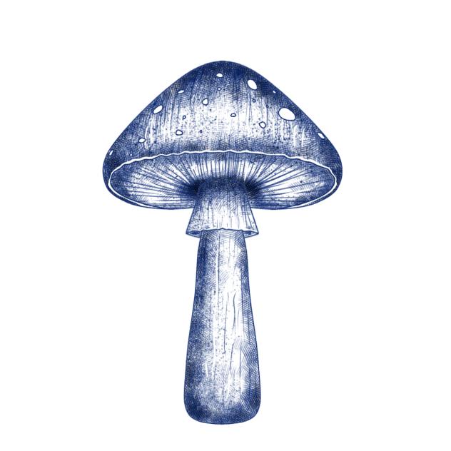 Mushroom