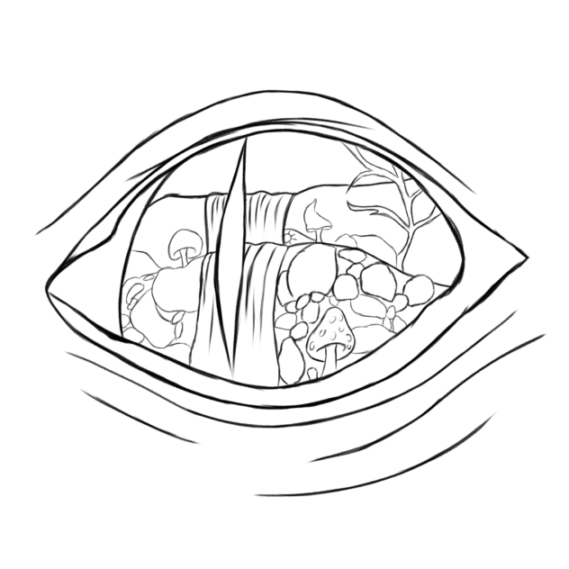 dragon eye