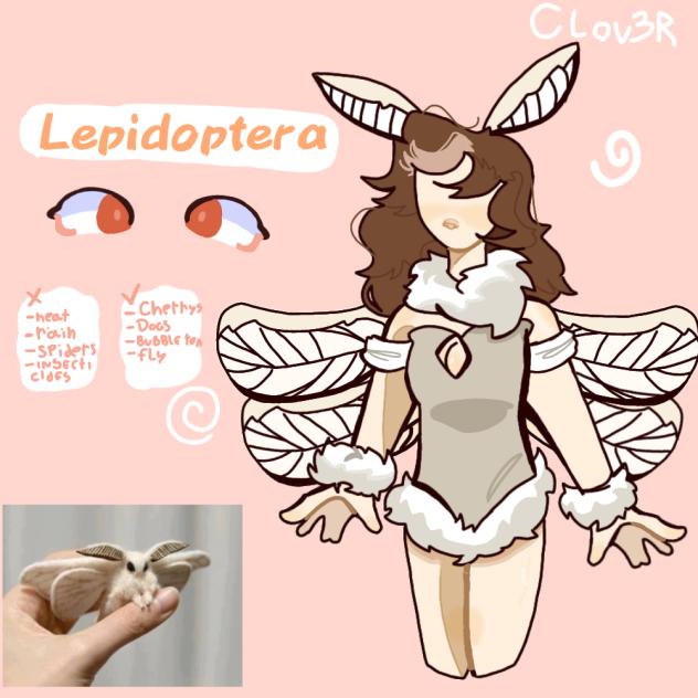 Lepidoptera