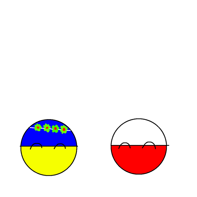 ukraine and poland