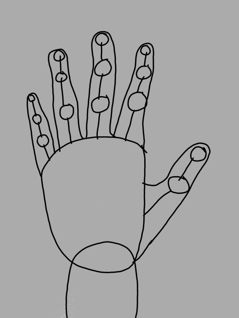 Hand Anatomy