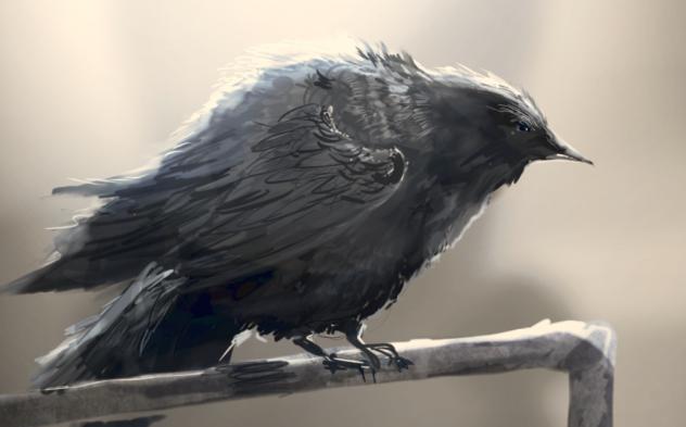 🐦‍⬛