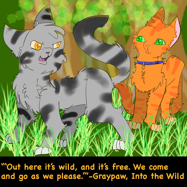 Graypaw quote -Into the Wild-