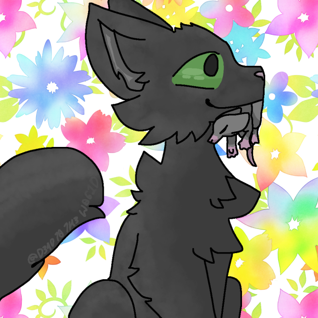 StormFur