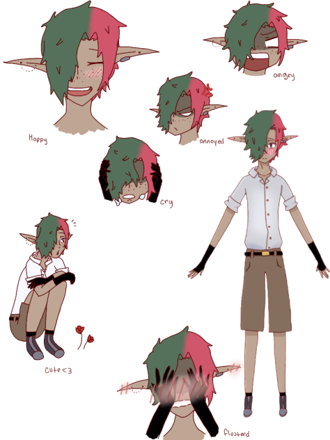 Toadamo emotion sheet
