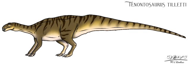 Tenontosaurus tilletti