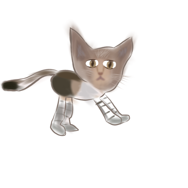 my cat ziggy