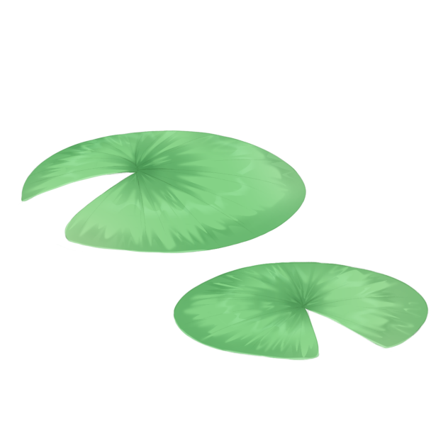 lily pad