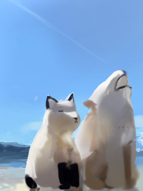 お気に入り