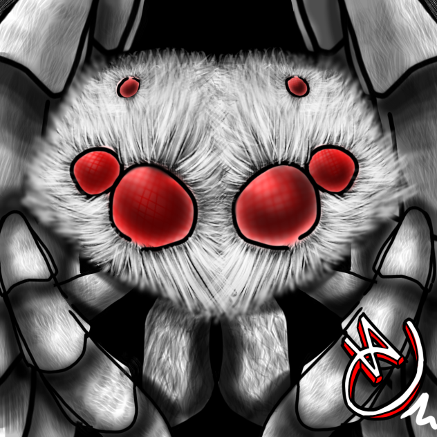 Spider