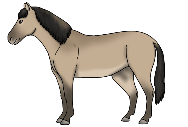 Konik render