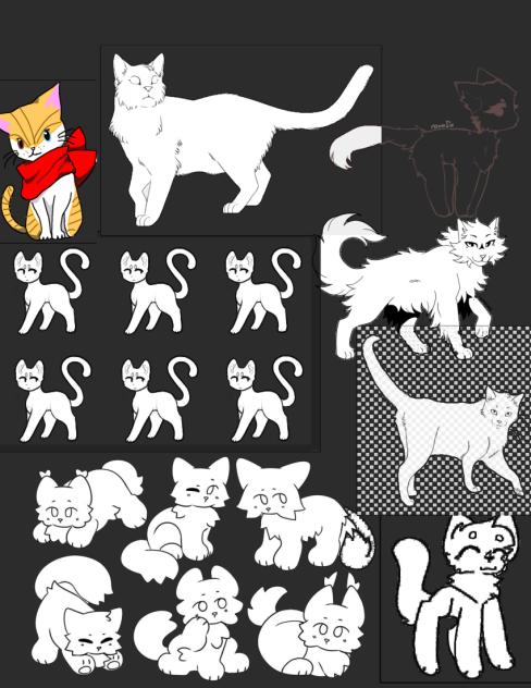 Cat collab (read description)