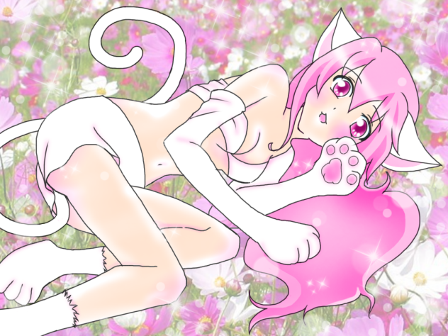 コスモス畑でゴロゴロ音猫🌸