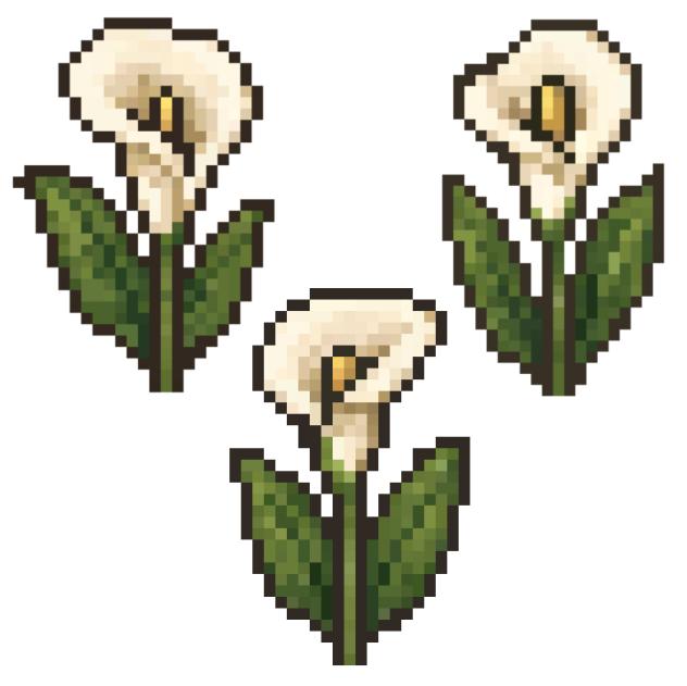 calla flower