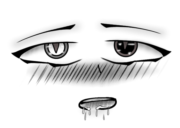 ✐My face when I see Niko;