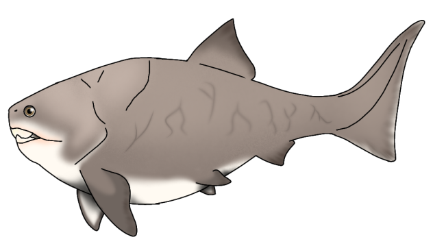 Dunkleosteus - Revamp 2023 render