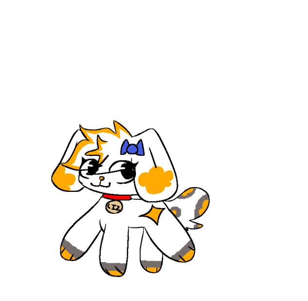 random dawg