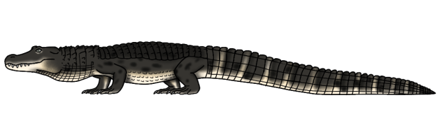 Chinese Alligator render