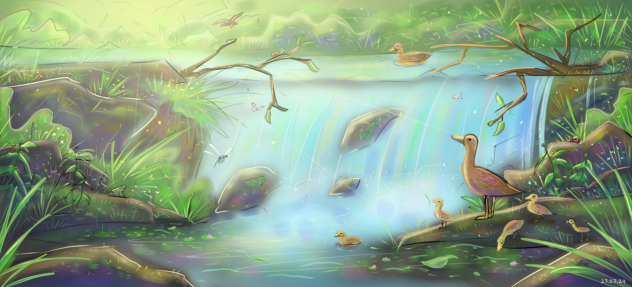 Уточки 🦆