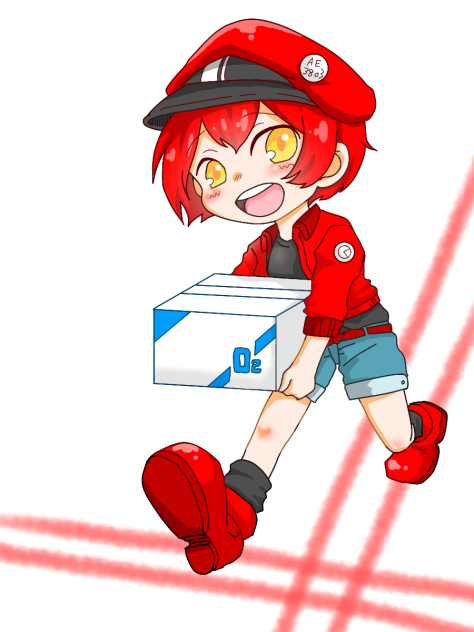 せっけっきゅー