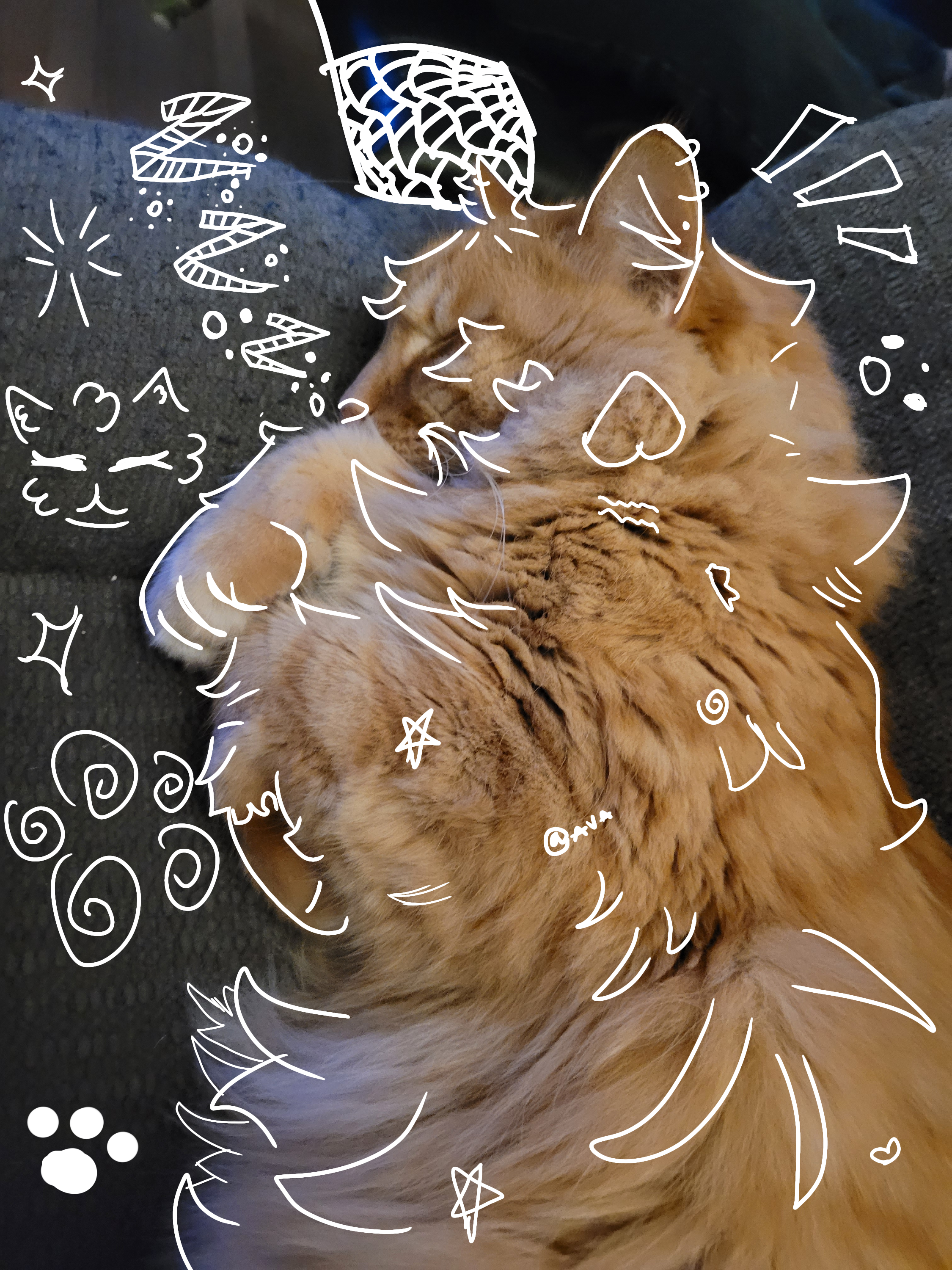 doodle - ibisPaint