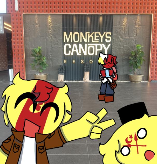 Monkey Canopy pt1