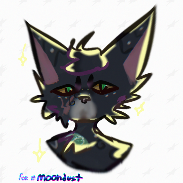 ✨✨