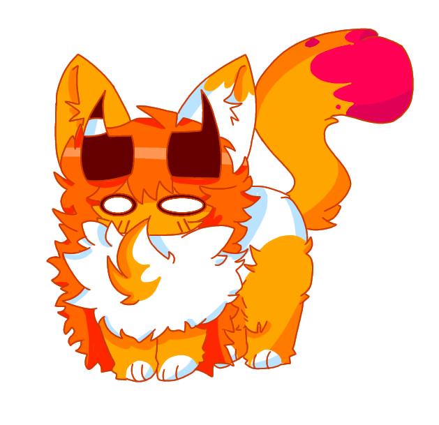 Ray gato 7W7