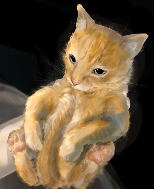 🐱
