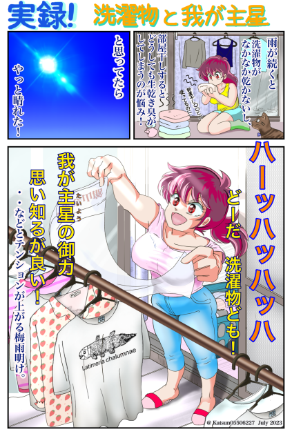 洗濯物と我が主星