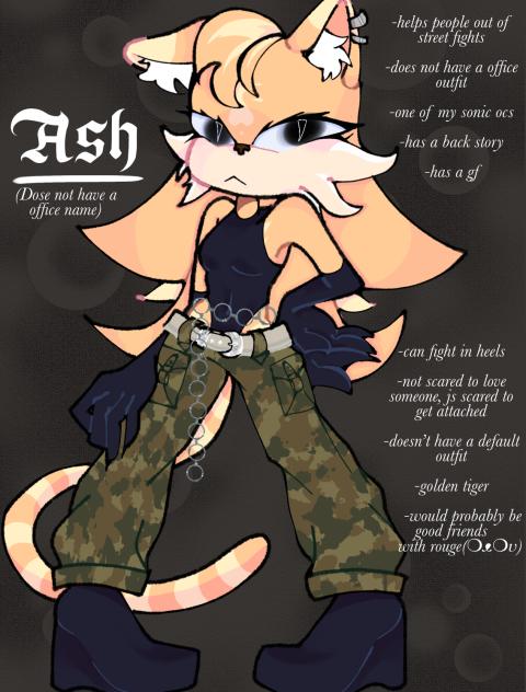 Sonic oc ash