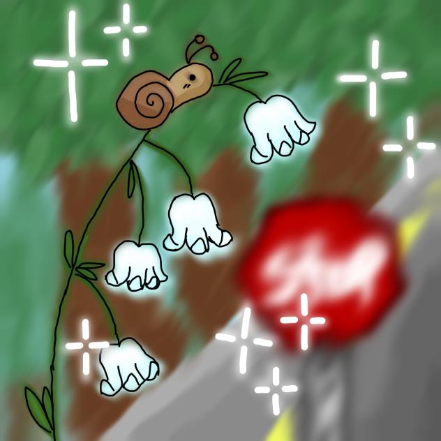 snail by the road