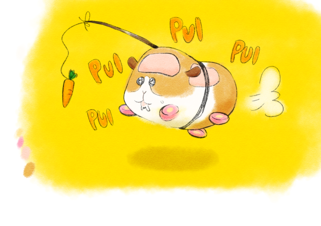 PUI PUIモルカー